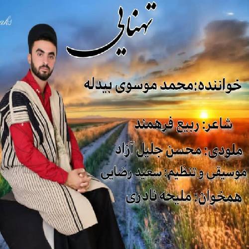 محمد موسوی بیدله تهنایی